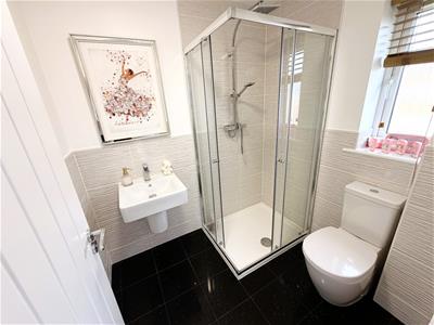 Picture 23